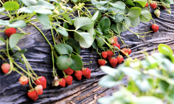 微信图片_20210222150204