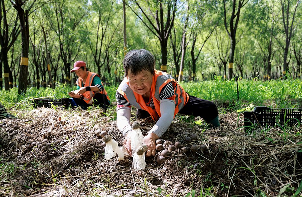 9.请到我的筐里来 赵启娴