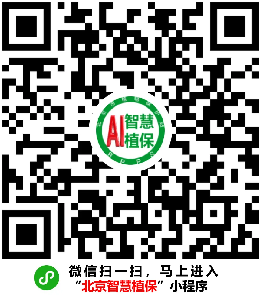 微信图片_2025-12-19_104907_951 微信图片_2025-12-19_104907_951