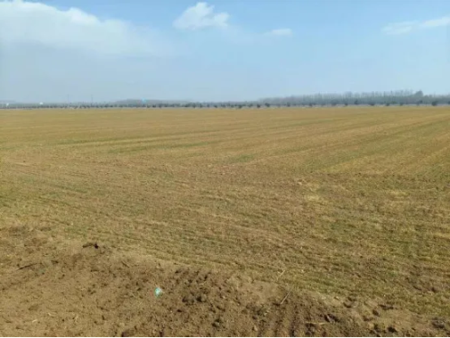 微信图片_2026-03-18_151838_894