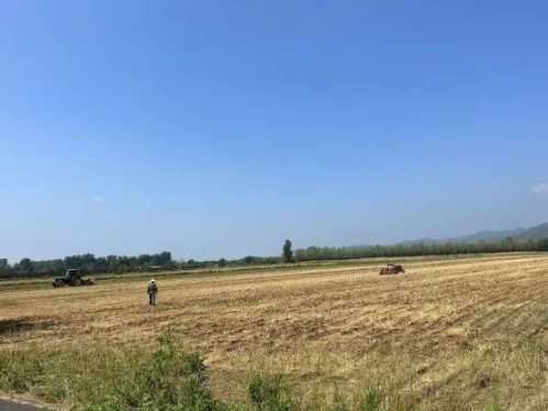 微信图片_2026-03-18_151834_968