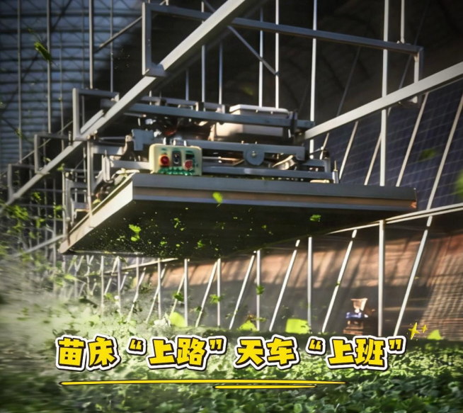 微信图片_2026-03-25_180413_960 微信图片_2026-03-25_180413_960