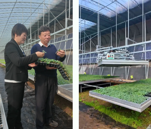 微信图片_2026-03-25_180937_303 微信图片_2026-03-25_180937_303