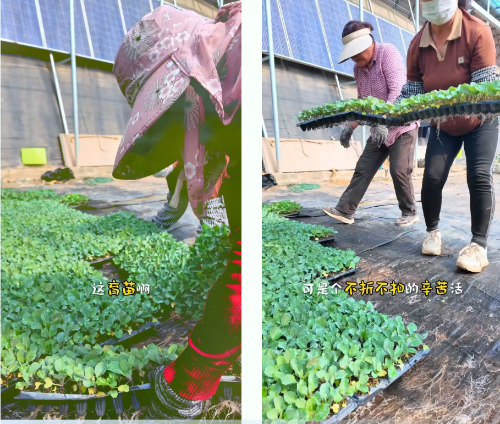 微信图片_2026-03-25_180930_272 微信图片_2026-03-25_180930_272