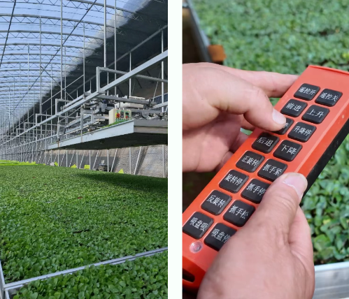 微信图片_2026-03-25_180934_286 微信图片_2026-03-25_180934_286