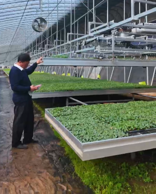 微信图片_2026-03-25_180433_127 微信图片_2026-03-25_180433_127