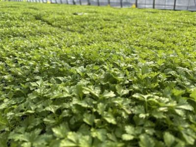 微信图片_2026-03-25_180456_695 微信图片_2026-03-25_180456_695