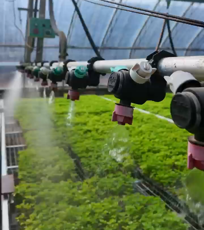 微信图片_2026-03-25_180444_358 微信图片_2026-03-25_180444_358