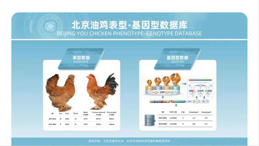 微信图片_2026-05-27_104911_233