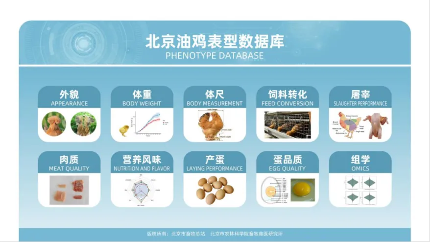 微信图片_2026-05-27_104920_489
