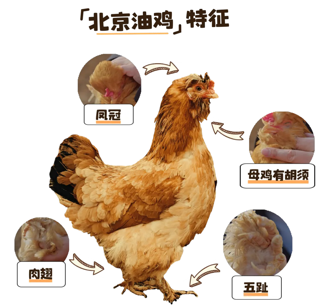 微信图片_2026-05-27_104916_216
