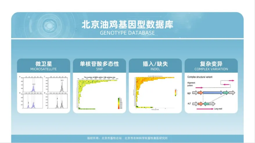 微信图片_2026-05-27_104924_513