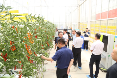 微信图片_2026-07-22_180257_142 微信图片_2026-07-22_180257_142