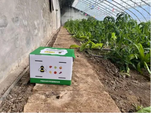 微信图片_2025-11-10_113737_359 微信图片_2025-11-10_113737_359