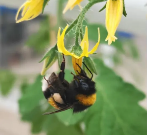 微信图片_2025-11-10_113730_992 微信图片_2025-11-10_113730_992