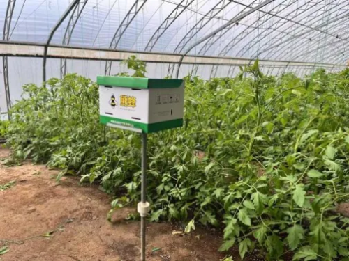 微信图片_2025-11-10_113735_288 微信图片_2025-11-10_113735_288