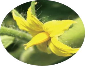 微信图片_2025-11-10_113739_838 微信图片_2025-11-10_113739_838