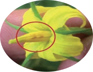 微信图片_2025-11-10_113742_205 微信图片_2025-11-10_113742_205