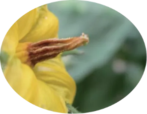 微信图片_2025-11-10_113744_295 微信图片_2025-11-10_113744_295