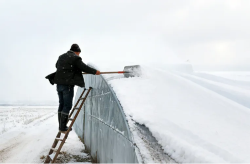 微信图片_2025-12-19_105901_816 微信图片_2025-12-19_105901_816