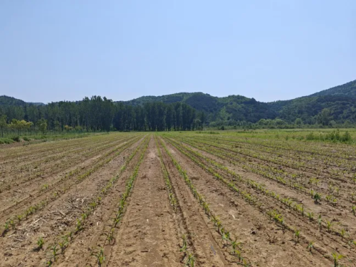 微信图片_2025-12-19_110331_248