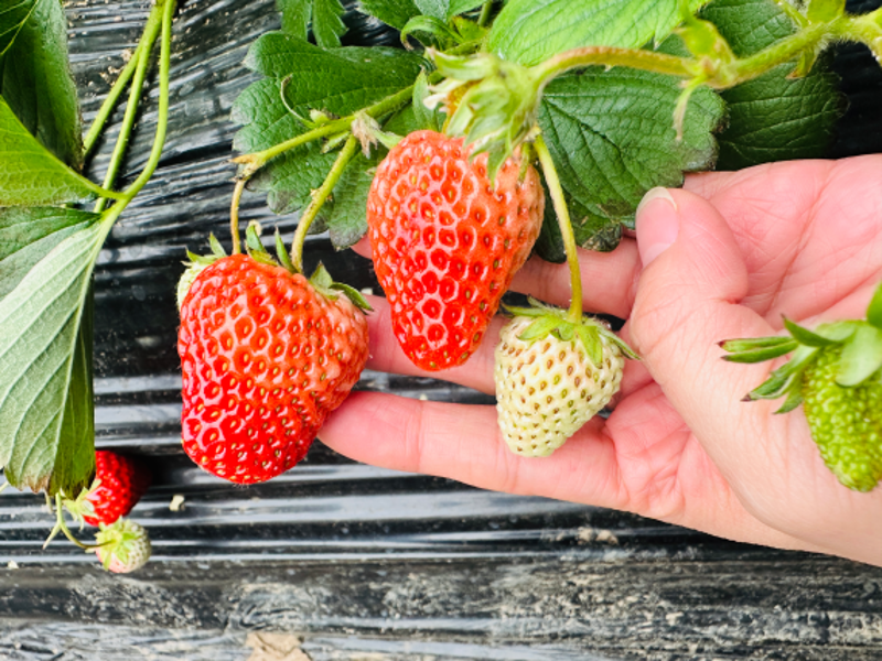 微信图片_2026-01-14_174123_017