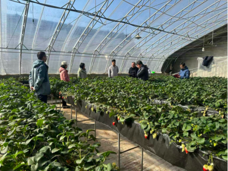 微信图片_2026-01-14_174117_514