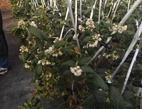 微信图片_2026-01-21_114127_695