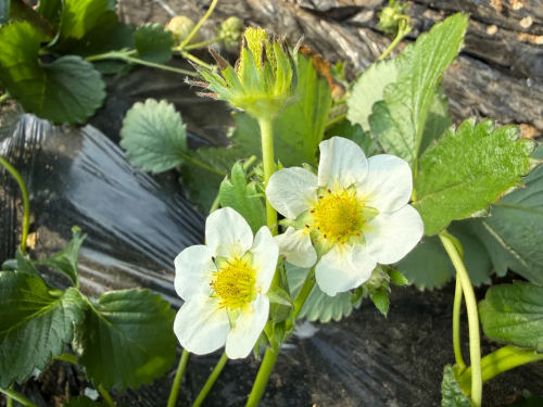 微信图片_2026-02-04_100741_221