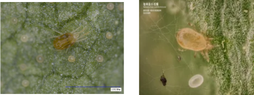 微信图片_2026-02-04_100737_349