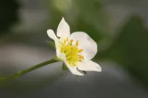 微信图片_2026-02-04_100746_084