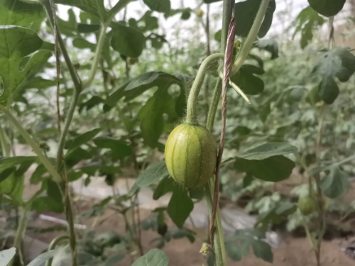 微信图片_2026-03-09_155008_186