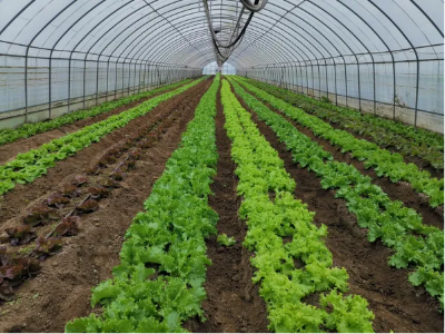 微信图片_2026-03-30_174835_589 微信图片_2026-03-30_174835_589