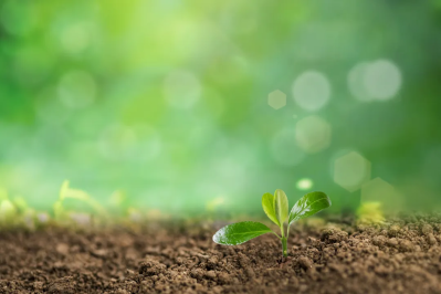 微信图片_2026-03-30_174832_693 微信图片_2026-03-30_174832_693