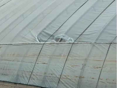 微信图片_2026-04-07_104934_544 微信图片_2026-04-07_104934_544