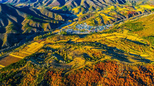 微信图片_2025-09-08_102430_367