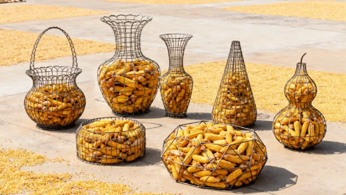 微信图片_2026-02-06_173237_824