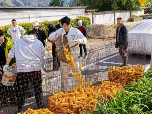 微信图片_2026-02-06_173240_536