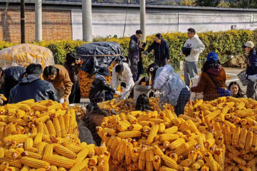 微信图片_2026-02-06_173246_977