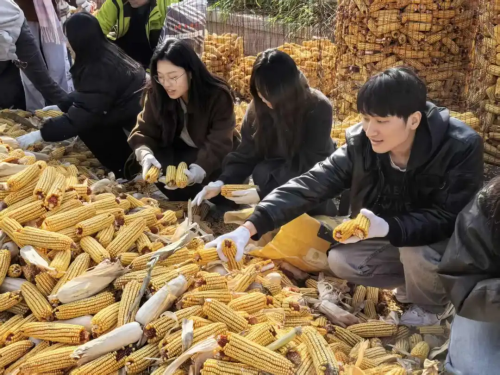 微信图片_2026-02-06_173244_512