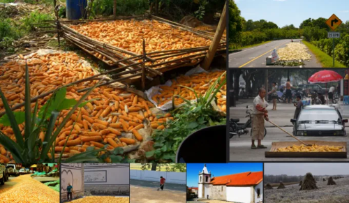 微信图片_2026-02-06_173250_976