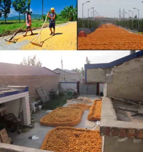 微信图片_2026-02-06_173253_032