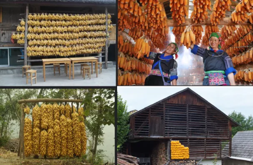 微信图片_2026-02-06_173255_017