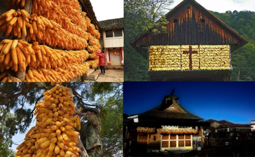 微信图片_2026-02-06_173257_017