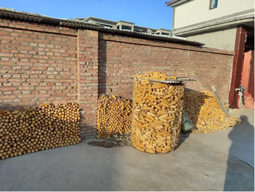 微信图片_2026-02-06_173302_809