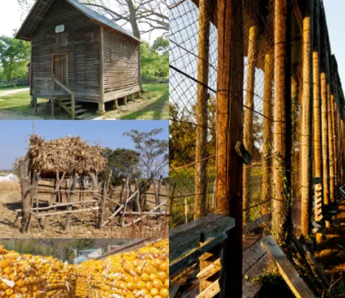 微信图片_2026-02-06_173300_778