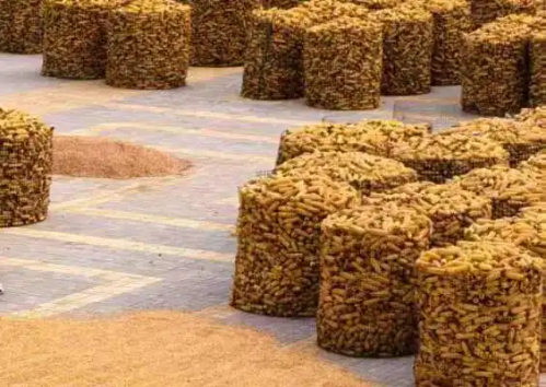 微信图片_2026-02-06_173304_801