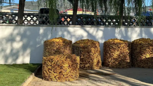 微信图片_2026-02-06_173306_826