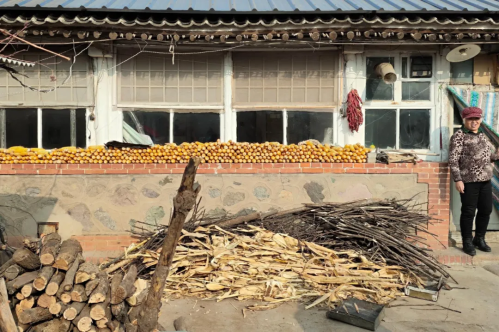 微信图片_2026-02-06_173312_561