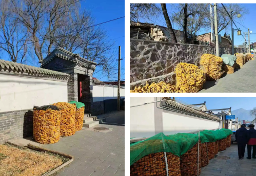 微信图片_2026-02-06_173316_642